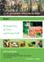 Tom und Anna und die phantastischen Geheimnisse des Waldes - Die Versammlung der Tiere ... und ein lauter Knall !  (Band 3)