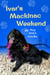 Ivar's Mackinac Weekend
