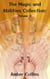 The Magic and Abilities Collection - The Magic and Abilities Collection, #11
