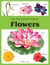 My First Picture Book of Flowers