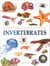 Animals - Invertebrates : Knowledge Encyclopedia For Children
