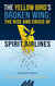 The Yellow Bird’s Broken Wing: The Rise and Crisis of Spirit Airlines