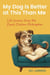 My Dog Is Better at This Than Me: Life Lessons from the Couch Cushion Philosopher