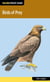 Birds of Prey