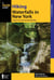 Hiking Waterfalls in New York - A Guide to the State's Best Waterfall Hikes