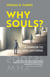 Why Souls? - A Mirror to the Universe