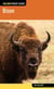Bison