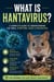 What is Hantavirus