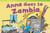 Anna Goes to Zambia