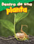 Dentro de una planta