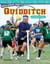 Spectacular Sports: Quidditch - Coordinate Planes