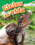 Ciclos de vida