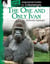 The One and Only Ivan - An Instructional Guide for Literature