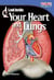 Look Inside - Your Heart and Lungs