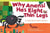 Why Anansi Has Eight Thin Legs - A Tale from West Africa