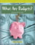 What Are Budgets?