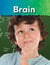 Brain