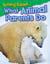Raising Babies - What Animal Parents Do