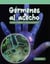 Gérmenes al acecho - Escribir, simplificar y evaluar expresiones