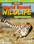 Amazing Animals: World Record Wildlife - Adding and Subtracting Fractions
