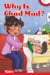 Why Is Chad Mad? - Level 1: Book 5