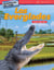 Aventuras de viaje: Los Everglades - Suma hasta 100
