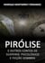Pirólise e outros contos de suspense psicológico e ficção sombria - Ecos do Abismo, #2