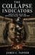 The Collapse Indicators - America At A Crossroads, #2