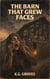 The Barn That Grew Faces - Indestructible Fractal Shadows - IFS, #26