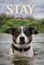 Stay: A Dog's View of Love, Grief and Ordinary Days
