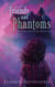 Friends and Phantoms - The Hamilton House Hauntings, #1