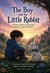 The Boy and the Little Rabbit