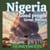 "Nigeria: Good People, Great Nation." This isn't just a country's slogan, it's a living, breathing promise waiting to be discovered.