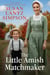 The Little Amish Matchmaker