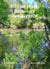 All Your Poems Anthology Summer 2026 - All Your Poems, #3