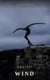 Against The Wind