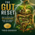 The Gut Reset - How to Repair Your Microbiome When the Damage Has Been Done