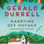 Marrying Off Mother and Other Stories
