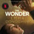 The Wonder