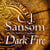 Dark Fire - A Compulsive Thriller of Treason and Deceit from the Bestselling Historical Series