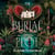 The Burial Plot - The bewitching, seductive gothic thriller from the author of The Doll Factory