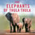 The Elephants of Thula Thula - Finding peace and happiness with the herd