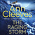 The Raging Storm - Now a major ITV series starring Ben Aldridge as Detective Matthew Venn