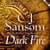Dark Fire