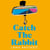 Catch the Rabbit