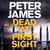 Dead at First Sight - A Sinister Crime Thriller
