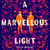 A Marvellous Light - A dazzling, queer romantic fantasy