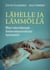 Lähelle ja lämmöllä - Miten tukea ikääntyvän ihmisen kokonaisvaltaista hyvinvointia?