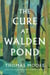 The Cure at Walden Pond - Recovering Our Humanity