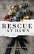 Rescue at Dawn: A Thrilling Pride and Prejudice Variation